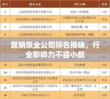昆明泵业公司排名揭晓，行业影响力不容小觑