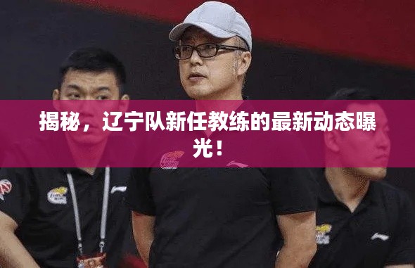 揭秘，辽宁队新任教练的最新动态曝光！
