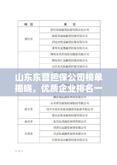 山东东营担保公司榜单揭晓，优质企业排名一览