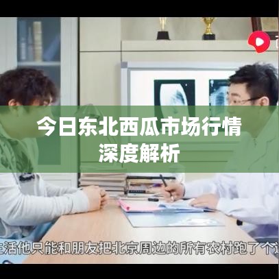 今日东北西瓜市场行情深度解析