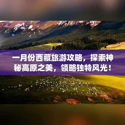 一月份西藏旅游攻略，探索神秘高原之美，领略独特风光！