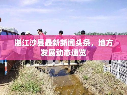 2025年6月17日 第5页