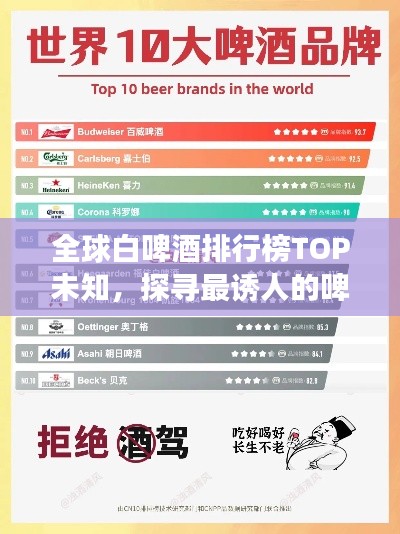 2025年6月17日 第3页