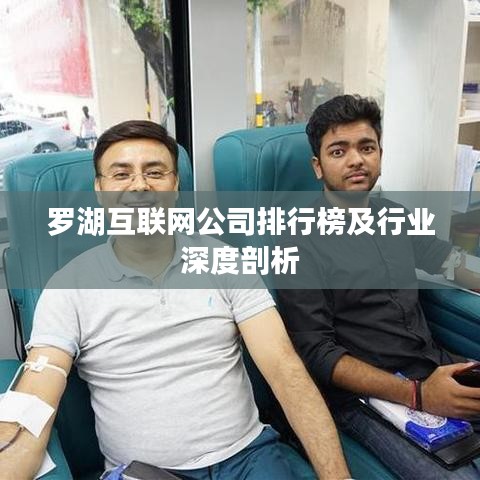 罗湖互联网公司排行榜及行业深度剖析