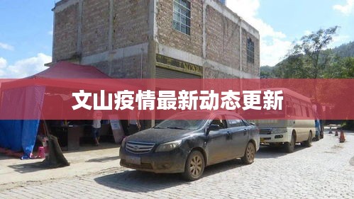 文山疫情最新动态更新