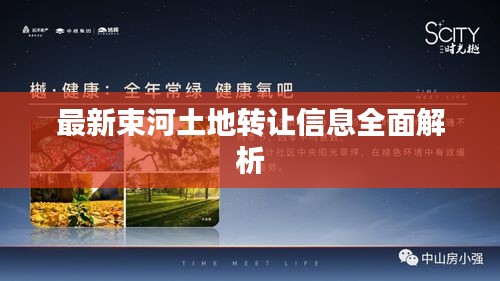 最新束河土地转让信息全面解析