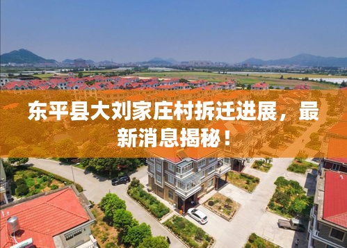 东平县大刘家庄村拆迁进展，最新消息揭秘！