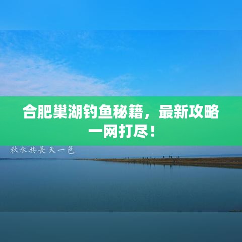 合肥巢湖钓鱼秘籍，最新攻略一网打尽！