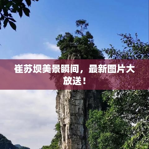 崔苏坝美景瞬间，最新图片大放送！