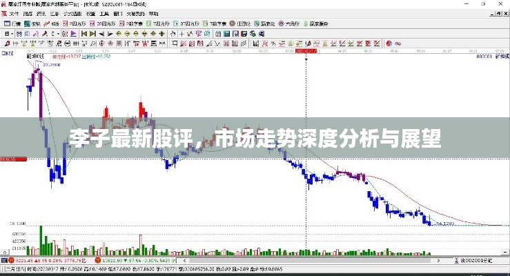 李子最新股评，市场走势深度分析与展望
