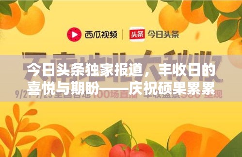 今日头条独家报道，丰收日的喜悦与期盼——庆祝硕果累累的丰收佳节