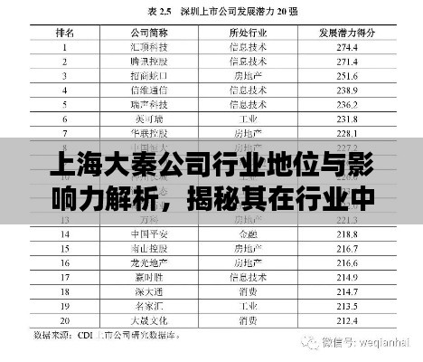 上海大秦公司行业地位与影响力解析，揭秘其在行业中的排名与深远影响