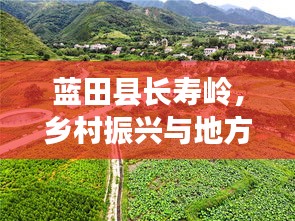 蓝田县长寿岭，乡村振兴与地方发展的融合典范新闻头条