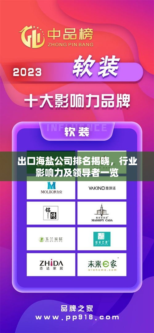 出口海盐公司排名揭晓，行业影响力及领导者一览