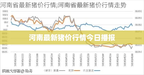 河南最新猪价行情今日播报