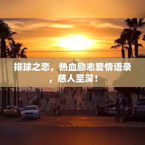 排球之恋，热血励志爱情语录，感人至深！