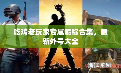 吃鸡老玩家专属昵称合集，最新外号大全