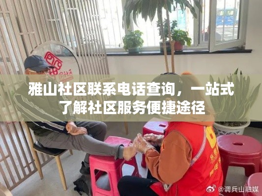 雅山社区联系电话查询，一站式了解社区服务便捷途径
