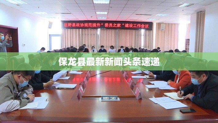 保龙县最新新闻头条速递