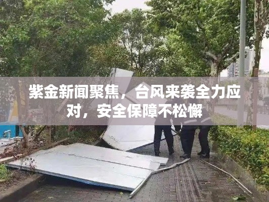 紫金新闻聚焦，台风来袭全力应对，安全保障不松懈