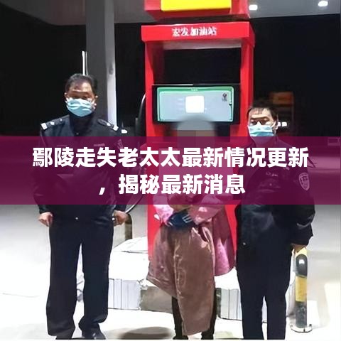 鄢陵走失老太太最新情况更新，揭秘最新消息