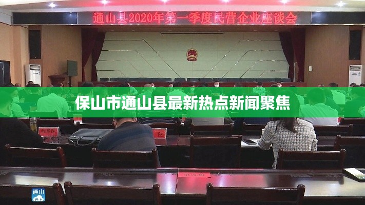 保山市通山县最新热点新闻聚焦