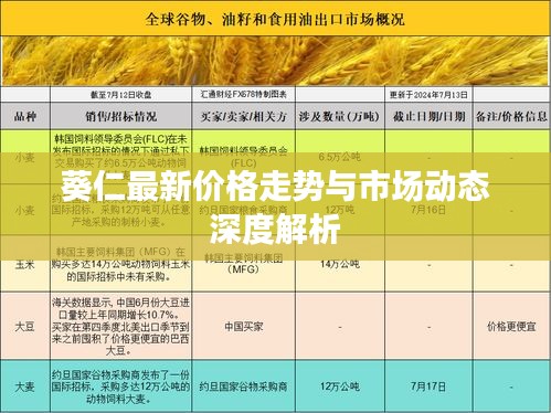 葵仁最新价格走势与市场动态深度解析