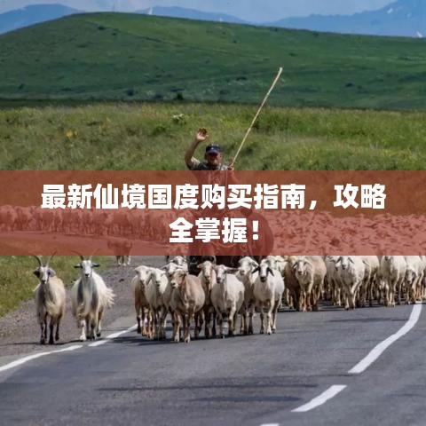 最新仙境国度购买指南，攻略全掌握！