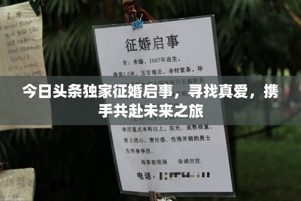 今日头条独家征婚启事，寻找真爱，携手共赴未来之旅