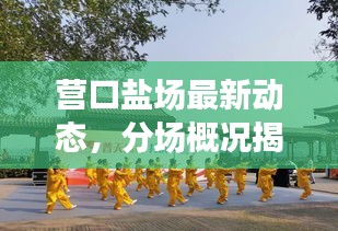 营口盐场最新动态，分场概况揭秘与未来发展蓝图展望