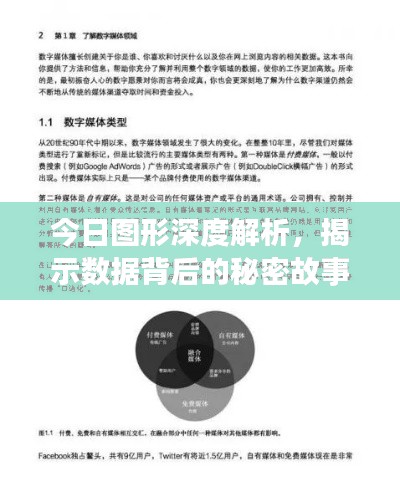 今日图形深度解析，揭示数据背后的秘密故事