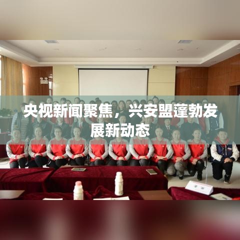 央视新闻聚焦，兴安盟蓬勃发展新动态