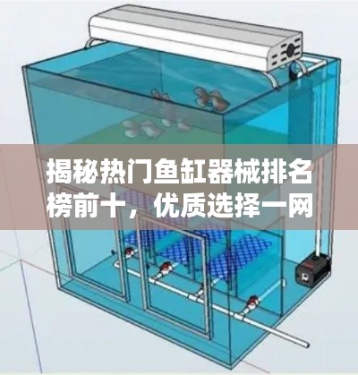 揭秘热门鱼缸器械排名榜前十，优质选择一网打尽！