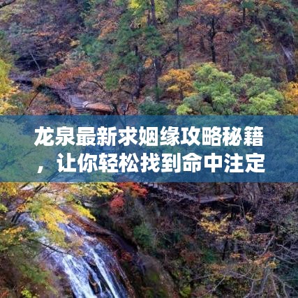 龙泉最新求姻缘攻略秘籍，让你轻松找到命中注定的TA！