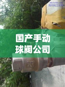国产手动球阀公司排行榜及行业影响力解析