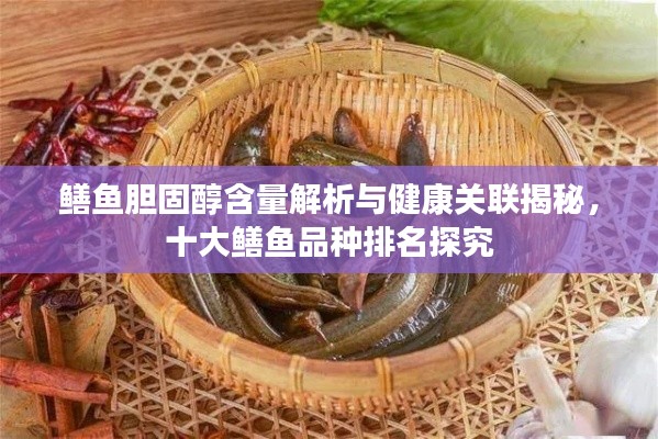 鳝鱼胆固醇含量解析与健康关联揭秘，十大鳝鱼品种排名探究