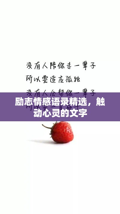 励志情感语录精选，触动心灵的文字