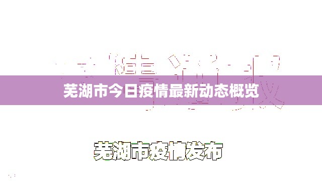 芜湖市今日疫情最新动态概览