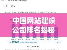 中国网站建设公司排名揭秘，行业深度洞察报告