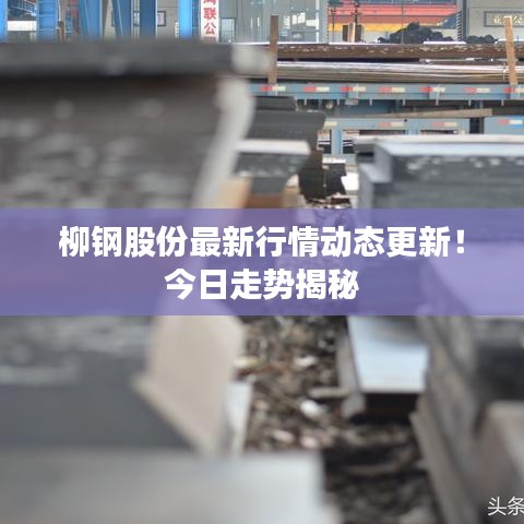 柳钢股份最新行情动态更新！今日走势揭秘