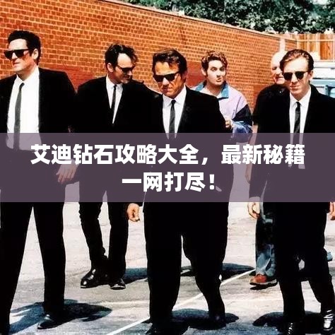 艾迪钻石攻略大全，最新秘籍一网打尽！
